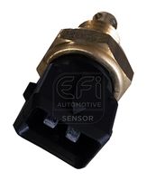 EFI AUTOMOTIVE 295020 - Sensor, temperatura del aire de admisión - EFI - SENSOR