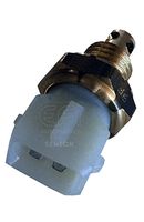 EFI AUTOMOTIVE 295034 - Sensor, temperatura del aire de admisión - EFI - SENSOR