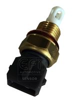 EFI AUTOMOTIVE 295039 - Sensor, temperatura del aire de admisión - EFI - SENSOR