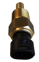 EFI AUTOMOTIVE 295069 - 