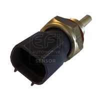 EFI AUTOMOTIVE 295122 - Sensor, temperatura del refrigerante - EFI - SENSOR