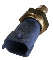 EFI AUTOMOTIVE 295132 - Sensor, temperatura del refrigerante - EFI - SENSOR