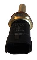 EFI AUTOMOTIVE 295133 - Sensor, temperatura del refrigerante - EFI - SENSOR