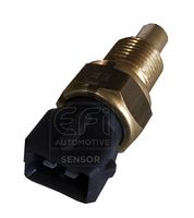 EFI AUTOMOTIVE 295171 - Sensor, temperatura del refrigerante