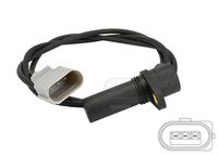 EFI AUTOMOTIVE 303058 - Longitud de cable [mm]: 990<br>Número de enchufes de contacto: 3<br>