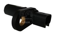 EFI AUTOMOTIVE 303224 - 