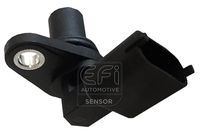 EFI AUTOMOTIVE 303300 - Número de enchufes de contacto: 3<br>