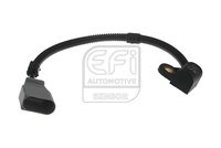 EFI AUTOMOTIVE 303304 - Código de motor: BUY<br>Longitud [mm]: 295<br>Número de enchufes de contacto: 3<br>