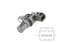 EFI AUTOMOTIVE 303365 - Sensor, posición arbol de levas - EFI - SENSOR