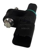 EFI AUTOMOTIVE 303388 - 