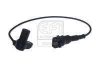 EFI AUTOMOTIVE 303448 - año construcción hasta: 02/2005<br>fecha de producción desde: 3<br>