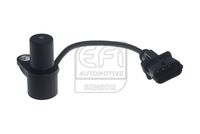 EFI AUTOMOTIVE 303455 - Número de enchufes de contacto: 3<br>