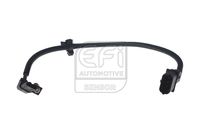 EFI AUTOMOTIVE 303484 - Longitud de cable [mm]: 365<br>Número de enchufes de contacto: 3<br>