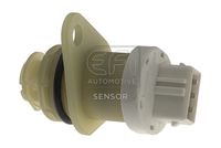 EFI AUTOMOTIVE 304002 - 