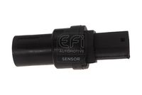 EFI AUTOMOTIVE 304007 - 