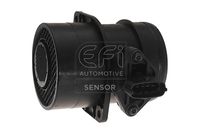 EFI AUTOMOTIVE 305020 - 