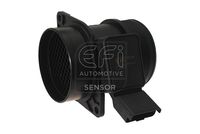 EFI AUTOMOTIVE 305105 - 