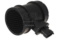 EFI AUTOMOTIVE 305119 - Tipo de cárter/carcasa: con carcasa (cárter)<br>Número de enchufes de contacto: 4<br>Modelo de conector: Macho<br>Color de carcasa: negro<br>Tensión [V]: 12<br>extensión de reparación recomendada: Filtro de aire<br>