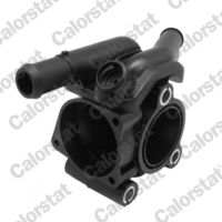 Alfa e-Parts AF12203 - Caja del termostato