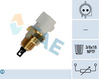 FAE 33440 - Número de enchufes de contacto: 2<br>