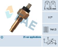 FAE 34160 - Sensor de temperatura de culata