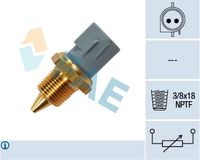 FAE 33430 - Sensor, temperatura del refrigerante