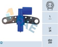 FAE 79215 - Resistencia [Ohm]: 230<br>Color: negro<br>Número de enchufes de contacto: 2<br>Profundidad de montaje [mm]: 24<br>Artículo complementario / información complementaria 2: con cable<br>Juego alternativo de reparación: 550841<br>