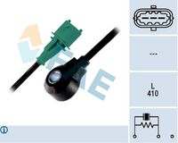 FAE 60191 - Versión: GS<br>