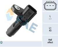 FAE 79516 - Número de piezas necesarias: 1<br>Número de enchufes de contacto: 3<br>Profundidad de montaje [mm]: 43<br>Artículo complementario / información complementaria 2: con junta tórica<br>