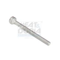 FEBI BILSTEIN 172930 - Tornillo, soporte inyector