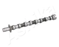 ASHIKA 16FI000 - Código de motor: RHR (DW10BTED4)<br>para OE N°: 0801AE<br>para OE N°: 1231970<br>para OE N°: 1495923<br>para OE N°: 30725026<br>para OE N°: 9654973580<br>Lado de montaje: Lado de escape<br>Longitud total [mm]: 450<br>Artículo complementario / información complementaria 2: sin junta tórica<br>