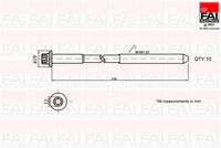 FAI AutoParts B1321 - Medida de rosca: M10x1,25x119<br>Perfil cabeza tornillo/tuerca: Perfil estrido intzerior (Ribe CV)<br>cantidad de tornillos: 10<br>