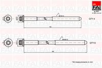 FAI AutoParts B1625 - Rosca 1: M11x1,5x132<br>Rosca 2: M14x1,5x191<br>Perfil cabeza tornillo/tuerca: Torx exterior<br>cantidad de tornillos: 10<br>