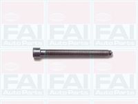 FAI AutoParts B1006 - Medida de rosca: M11x1,5x96<br>Perfil cabeza tornillo/tuerca: Polydrive<br>cantidad de tornillos: 10<br>