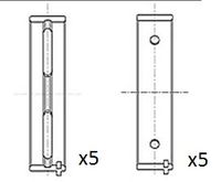 FAI AutoParts BM1050-010 - Cojinete de cigüeñal