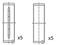 FAI AutoParts BM1057025 - Cojinete de cigüeñal