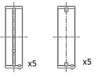 FAI AutoParts BM1004025 - Cojinete de cigüeñal