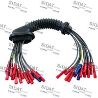 SIDAT 405042 - Número de enchufes de contacto: 3<br>para OE N°: 6Y0941855<br>Material: PVC<br>Calidad: GENUINE<br>Referencia artículo par: 405013<br>Referencia artículo par: 405014<br>Referencia artículo par: 405034<br>Referencia artículo par: 405035<br>Referencia artículo par: 405036<br>Referencia artículo par: 405037<br>