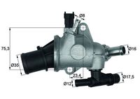 MAHLE TI14283 - Termostato, refrigerante - BEHR