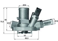 GATES TH43980G1 - Termostato, refrigerante