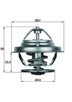 MAHLE TX1975D - Termostato, refrigerante - BEHR