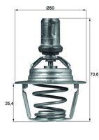 GATES TH00188G1 - Temperatura de abertura [°C]: 89<br>Peso [kg]: 0,09<br>