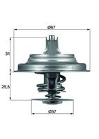 GATES TH11687G1 - Termostato, refrigerante