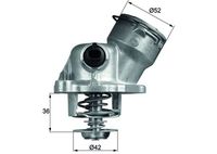 FEBI BILSTEIN 108755 - Termostato, refrigerante