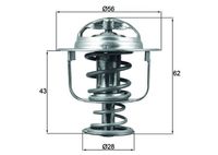 JAPKO 38123 - Termostato, refrigerante