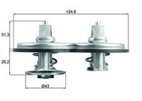 FEBI BILSTEIN 49681 - Termostato, refrigerante