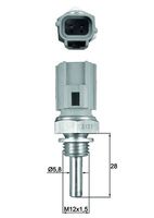 MAHLE TSE27 - Sensor, temperatura del refrigerante - BEHR