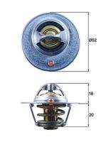 JAPKO 38M01 - Termostato, refrigerante