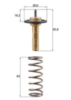 GATES TH51690G1 - Termostato, refrigerante