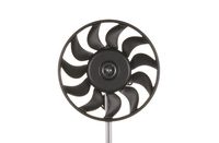 MAHLE CFF136000S - Ventilador, refrigeración del motor - BEHR